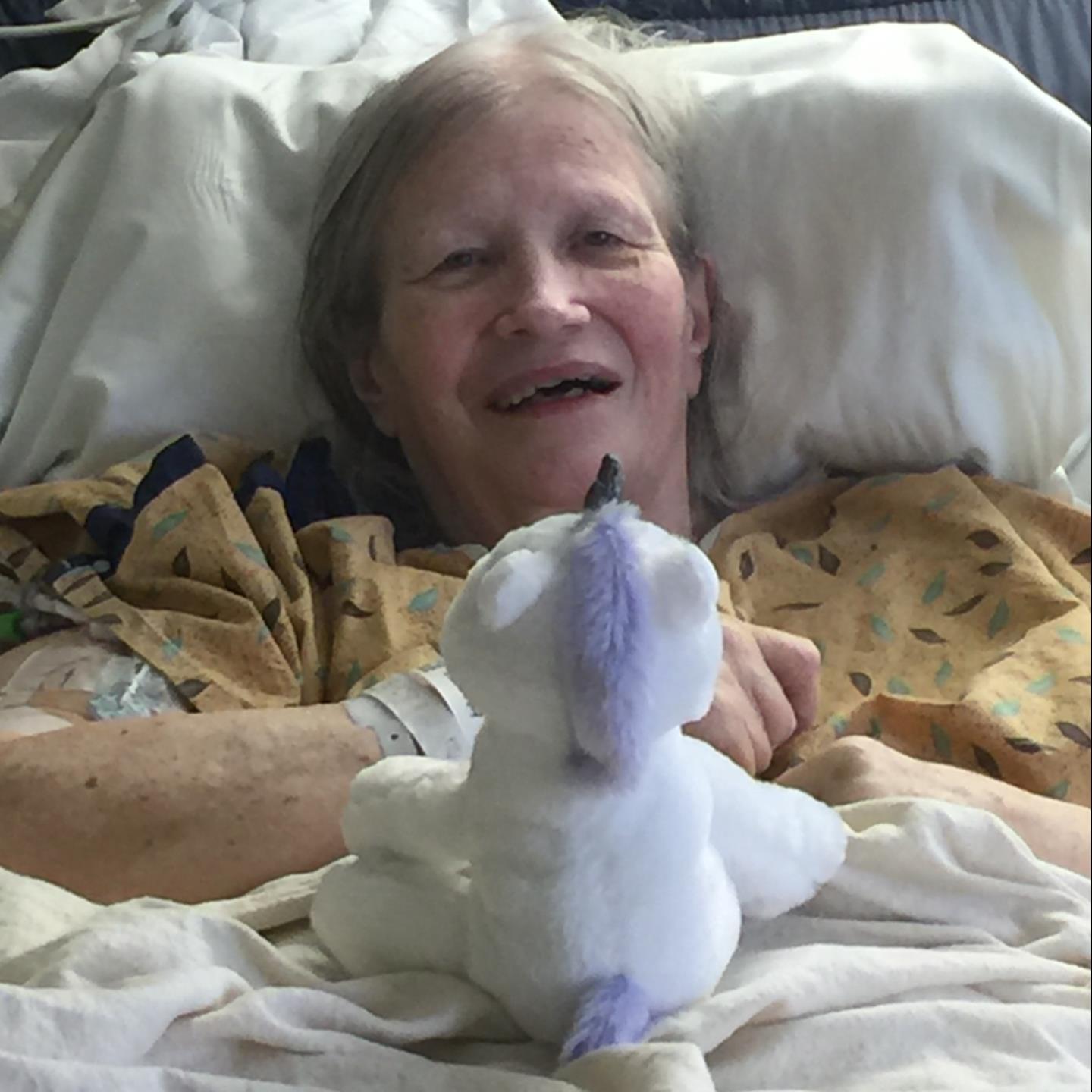 Lynn Elinor (Icker) Wilson's obituary , Passed away on January 29, 2020 in Leesburg, Florida