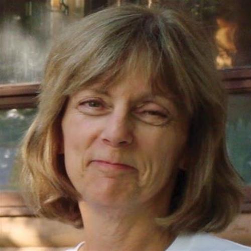 Diane Lynn Johnston's obituary , Passed away on August 29, 2020 in Woodbury, Minnesota