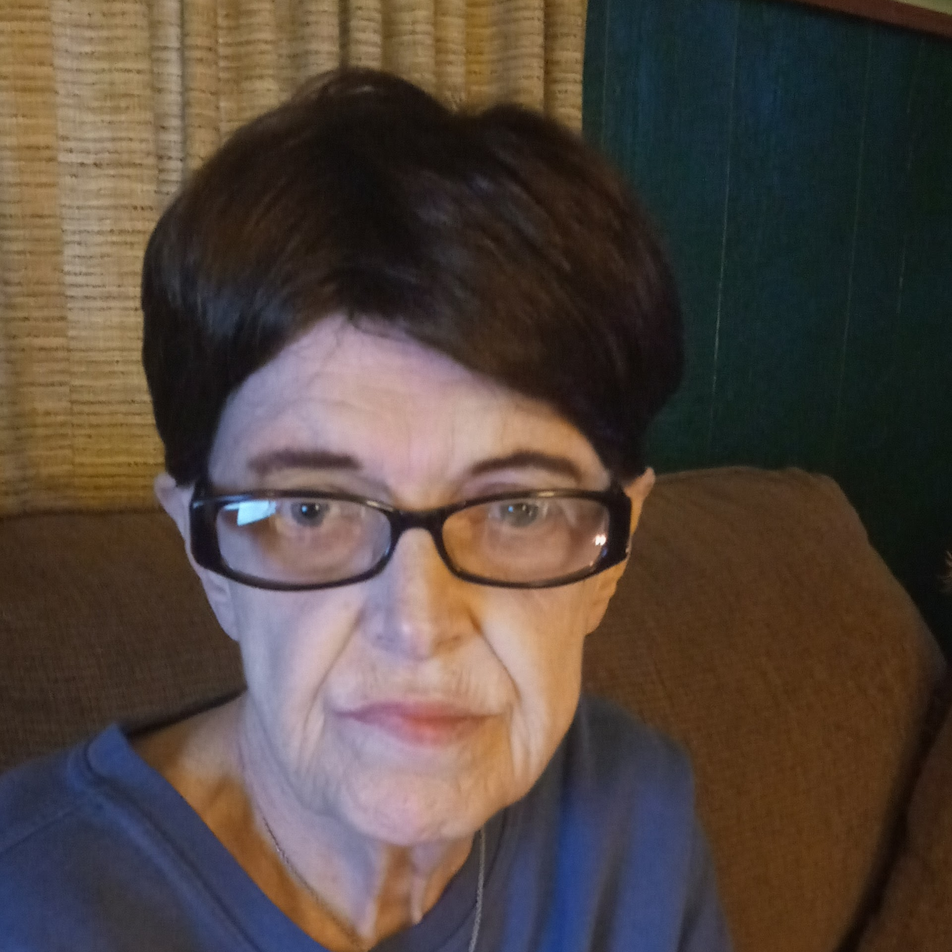 Donna K. Fulfer's obituary , Passed away on May 30, 2021 in Champaign, Illinois