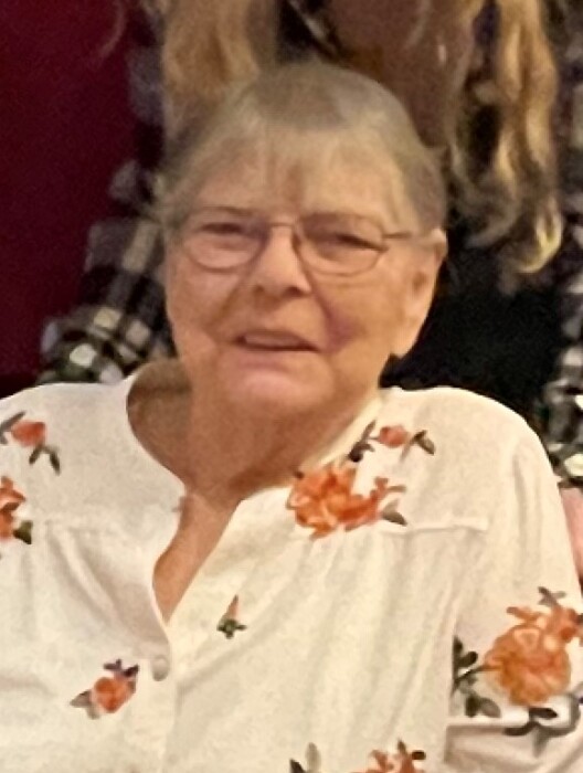 Kay Carol Raleigh's obituary , Passed away on February 7, 2023 in Lake City, Michigan