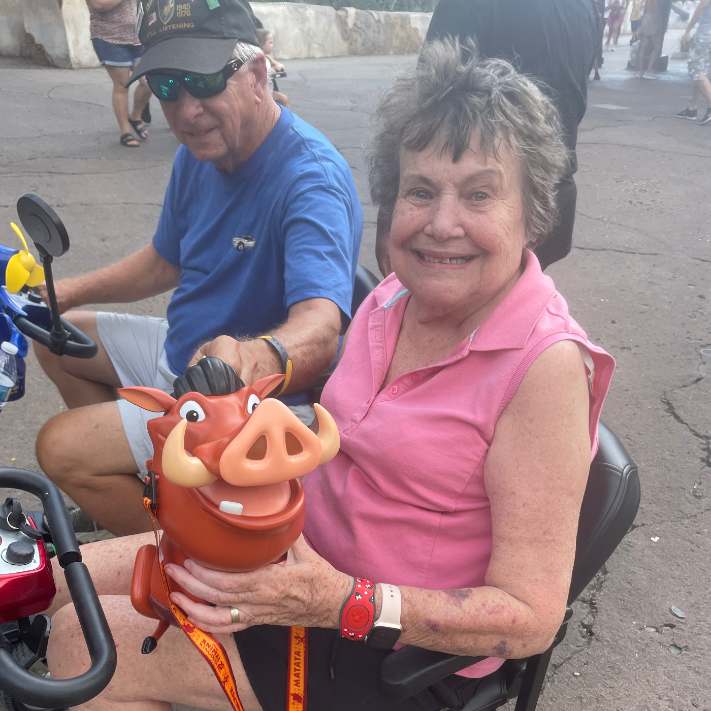 Eileen Demeter's obituary , Passed away on August 28, 2023 in Rotonda West, Florida