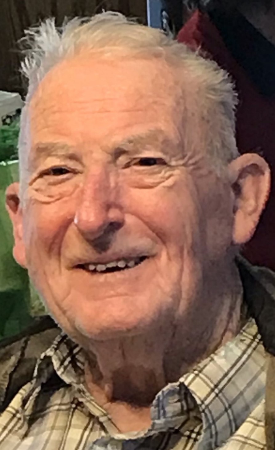 Leon "Mike" Haslam's obituary , Passed away on February 1, 2024 in Mukwonago, Wisconsin
