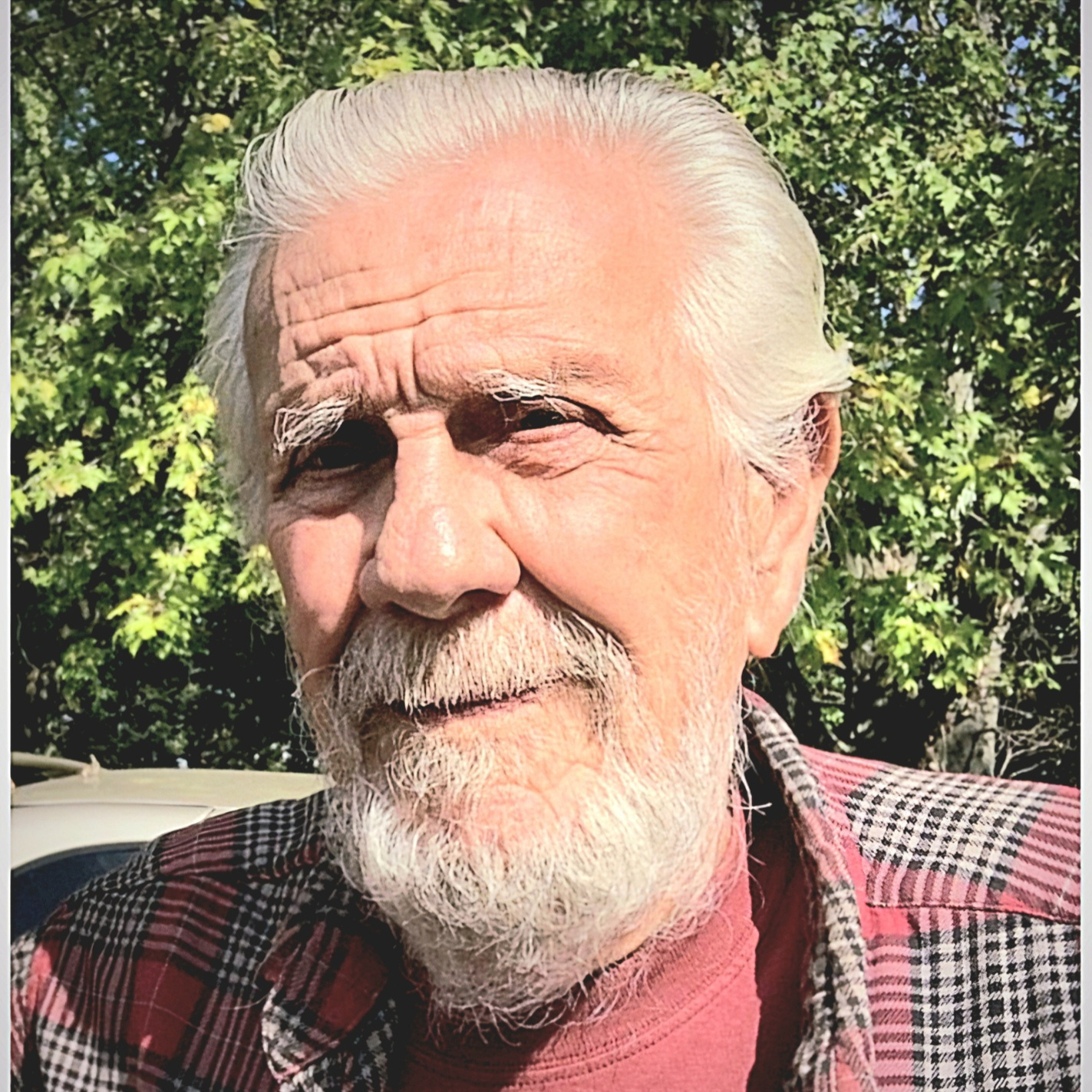 Frank William Nemcic's obituary , Passed away on September 18, 2024 in Franklin, Ohio