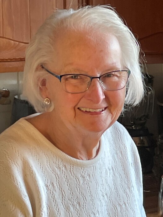 Dianne Audrey Boucher's obituary , Passed away on March 4, 2025 in Sydenham, Ontario