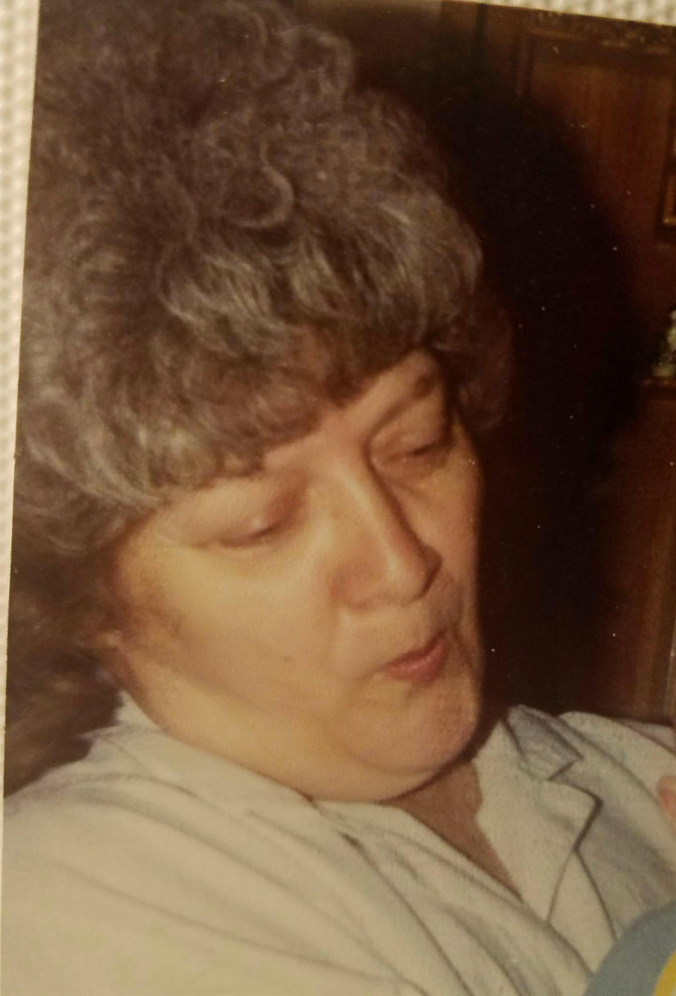 Patricia Parson's obituary , Passed away on February 19, 2018 in Holton, Michigan