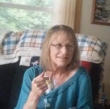 Deborah Schoner's obituary , Passed away on February 11, 2019 in Greenville, Michigan